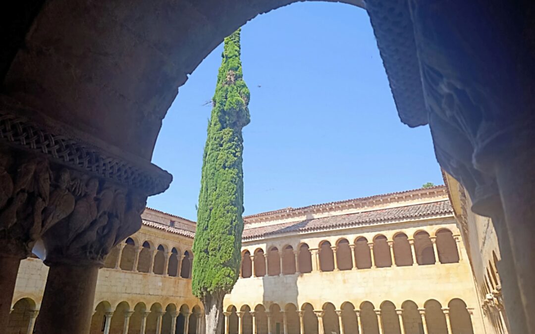 Visita guiada al Monasterio de Silos
